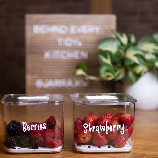 صورة منظم ثلاجة نحيف